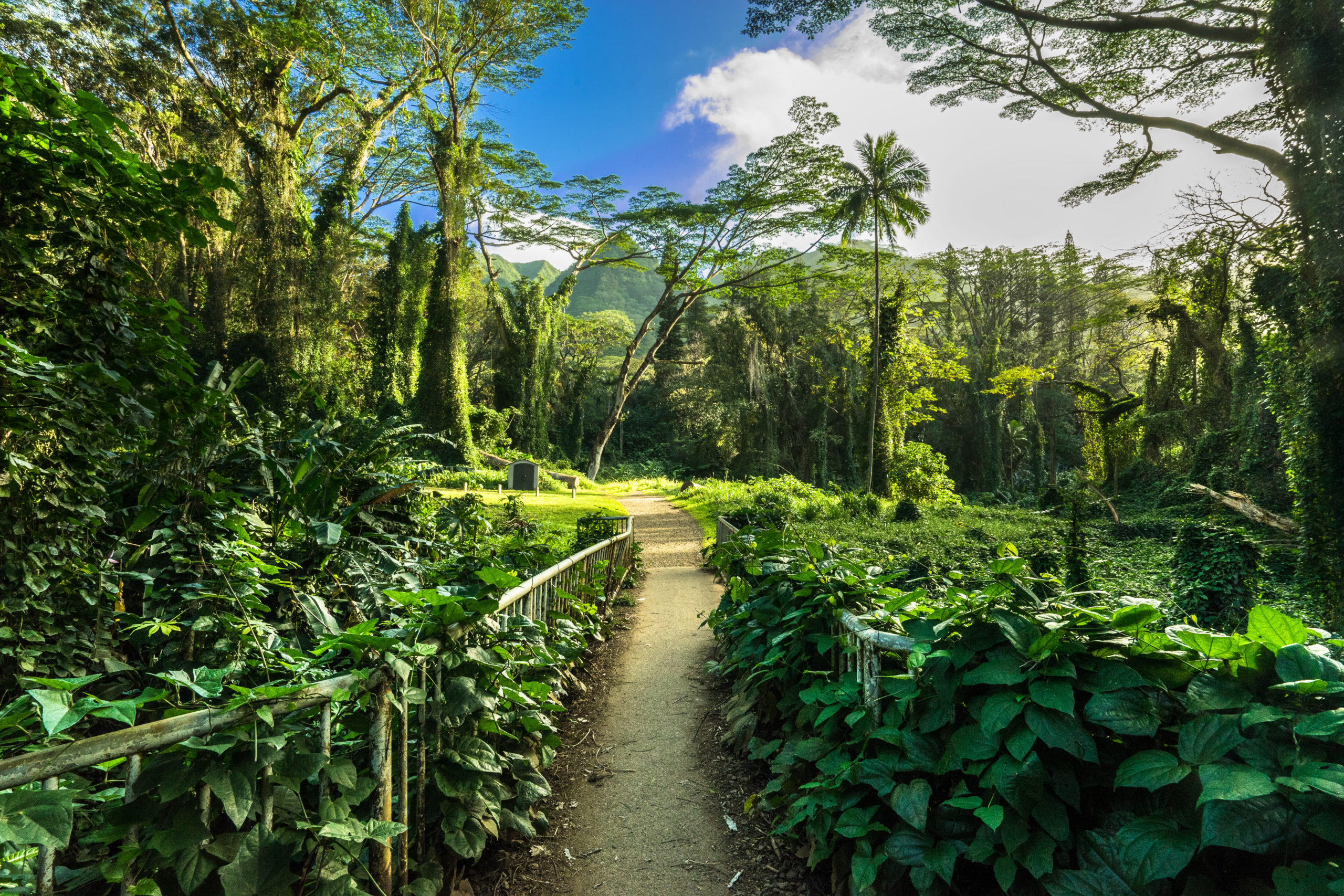 5 most popular hikes on oahu