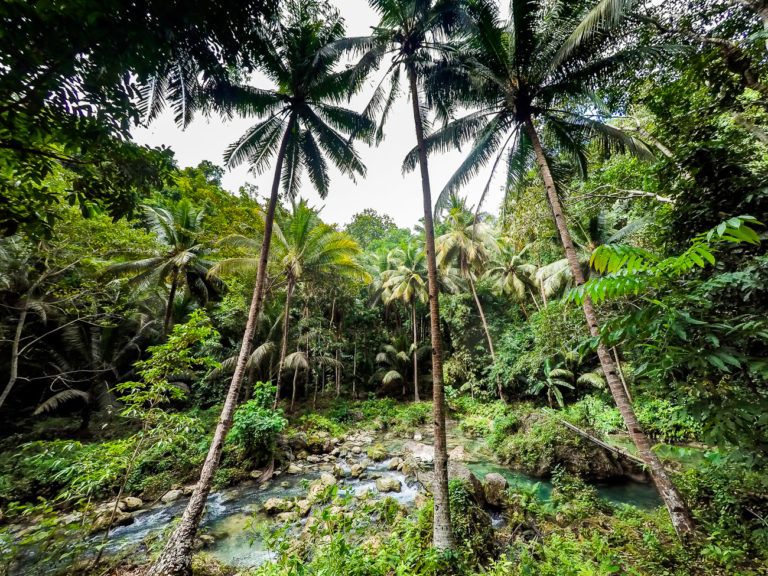 Kawasan falls cebu, kawasan falls philippines, kawasan falls badian cebu, kawasan falls the philippines, kawasan falls in cebu philippines, kawasan falls cebu map, Where is kawasan falls, kawasan falls canyoneering, how to get to kawasan falls, cebu kawasan falls, canyoning kawasan falls, kawasan falls in badian, badian kawasan falls, kawasan falls in cebu, kawasan falls entrance fee