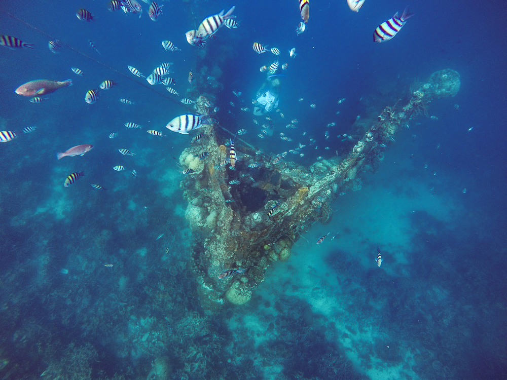 Skeleton Wreck in Coron, Palawan: Best Shipwreck Dive Site