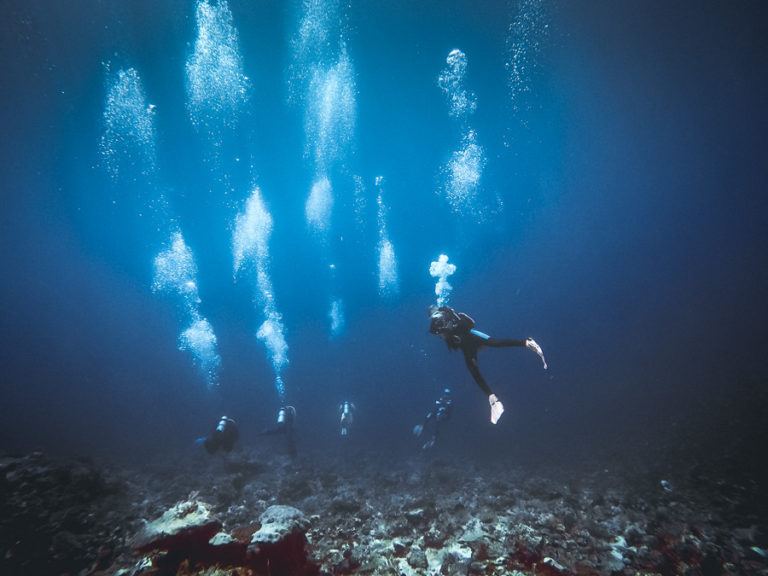 a group of people diving in the ocean.