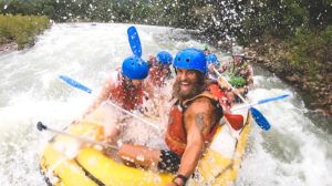 to do in cairns, cairns australia points of interest, cairns attractions, cairns australia, top 10 things to do in cairns, top things to do in cairns, what to see in cairns, what to do in cairns, best things to do in cairns, things to do in cairns, 