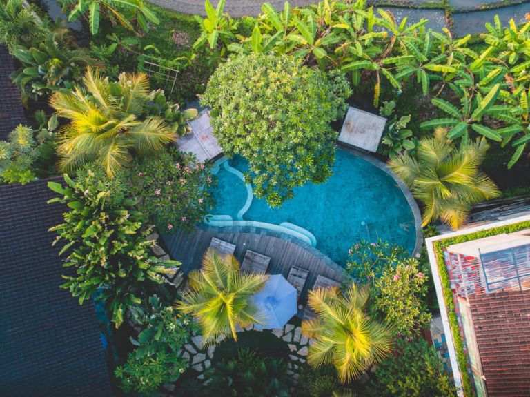 an aerial view of a pool surrounded by palm trees.