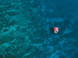Agpanabat Sea Turtle Sanctuary Snorkel Spot, Romblon Island