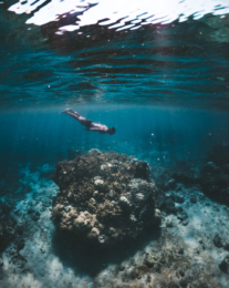 Agpanabat Sea Turtle Sanctuary Snorkel Spot, Romblon Island