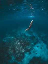 Agpanabat Sea Turtle Sanctuary Snorkel Spot, Romblon Island