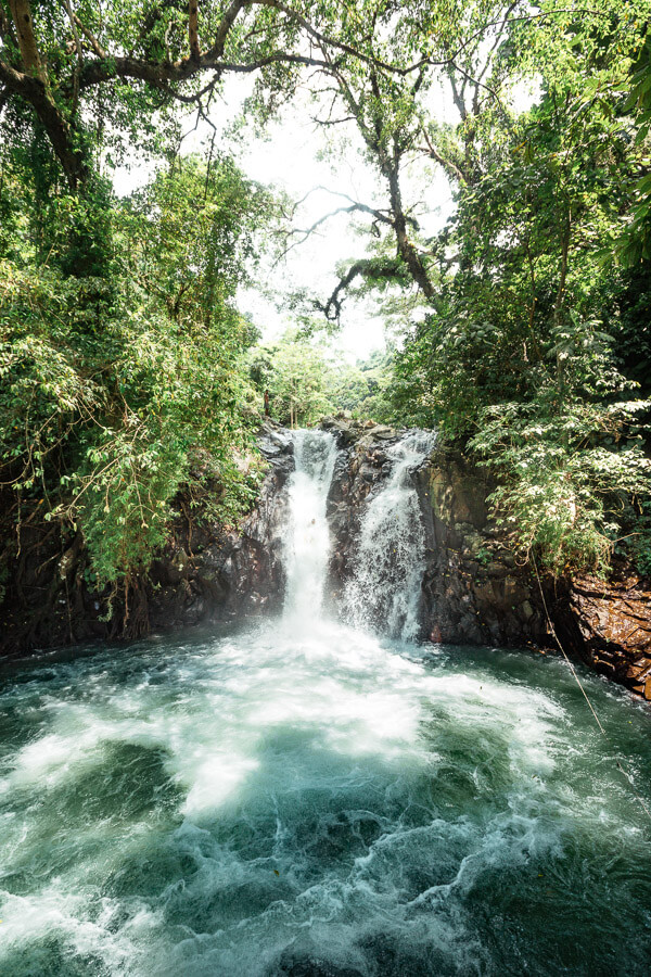 una cascata nel mezzo di una lussureggiante foresta verde.