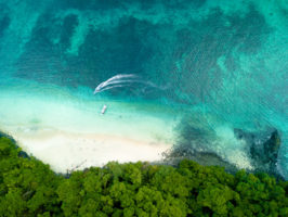 Coiba National Park In Panama: Everything You Need To Know