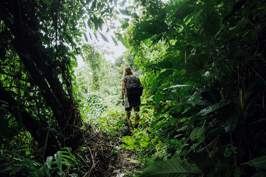 a man with a backpack walking through the jungle.