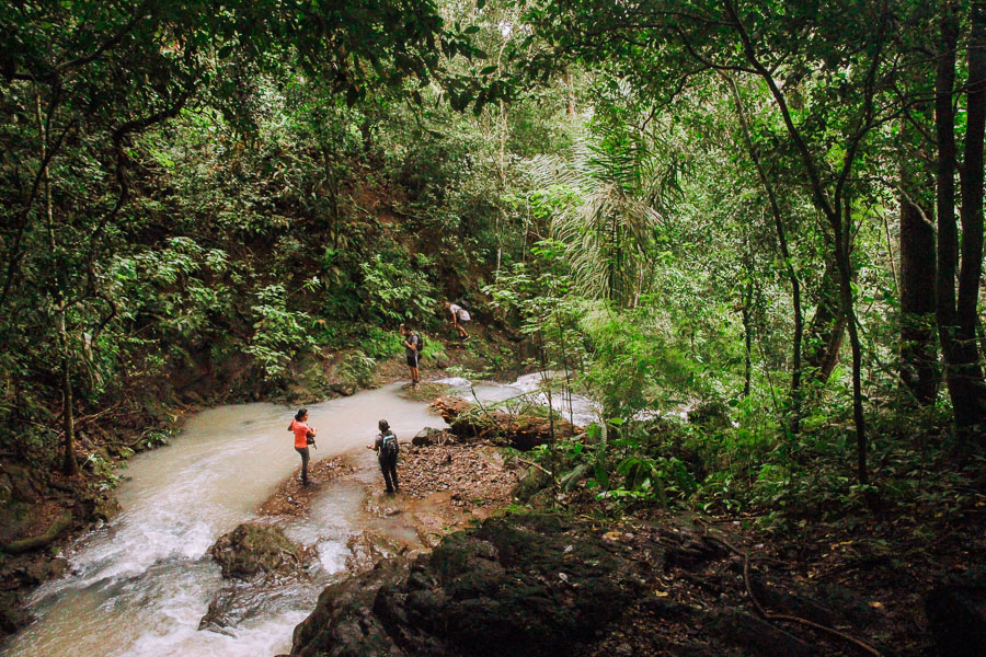 plantation walk in soberania national park