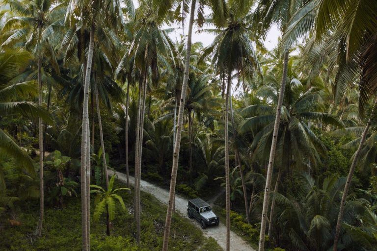 a car driving down a dirt road between palm trees.