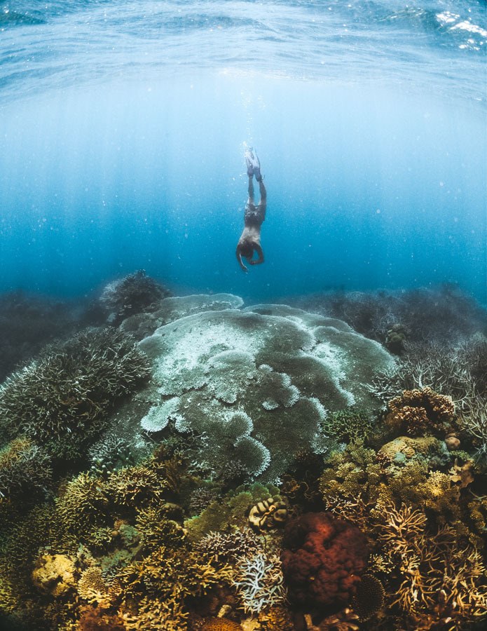 a person swimming in the ocean near a coral reef.