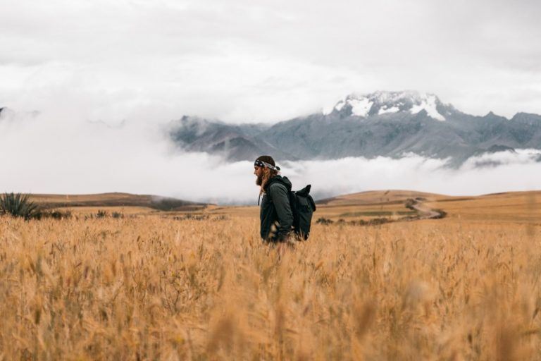 a man standing in a field with a horse.