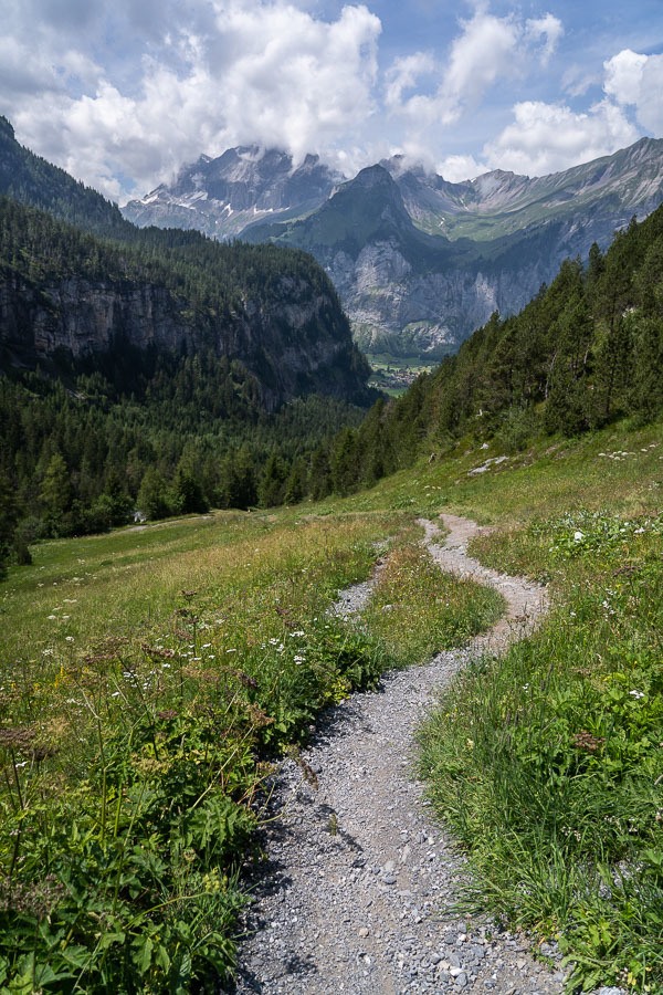 a dirt path in the middle of a field with mountains in the background.