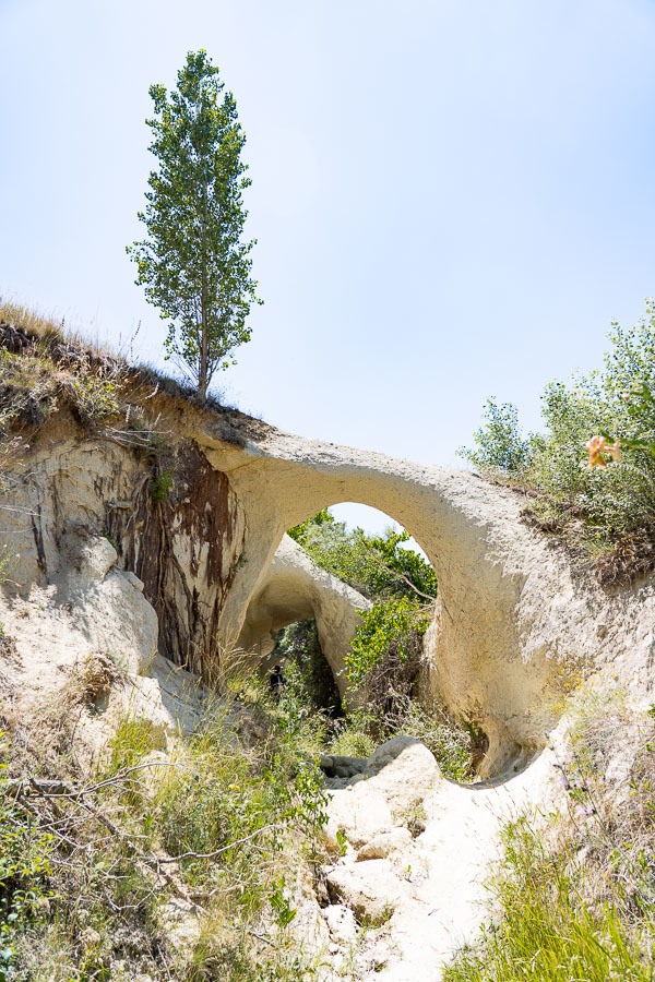 a large rock formation with a tree growing out of it.