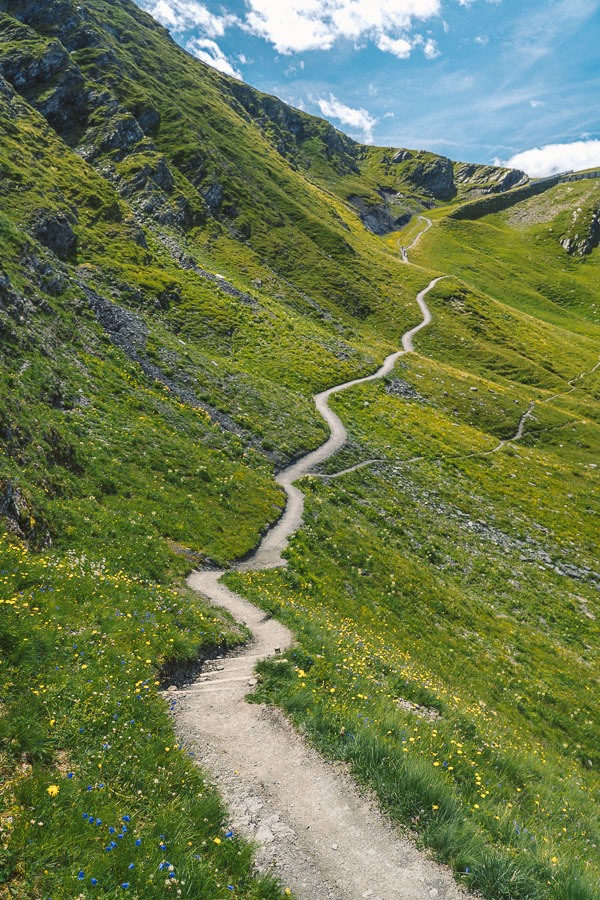 a winding path in the middle of a green mountain.