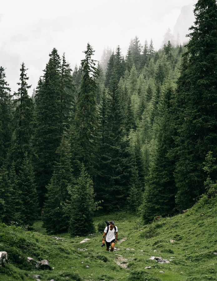 a man and woman walking through a lush green forest.