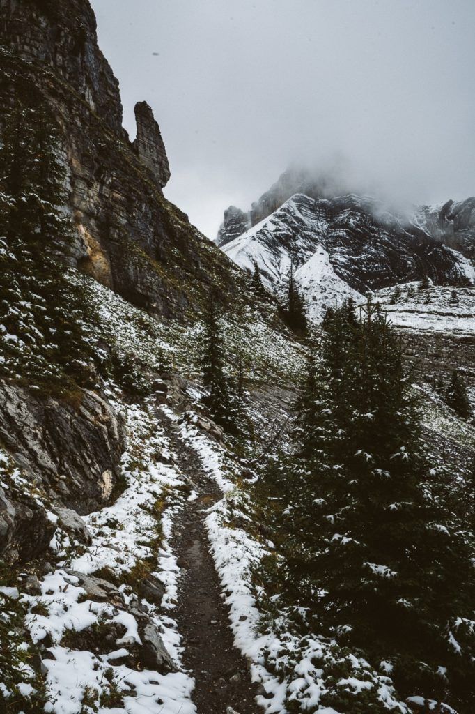 a trail in the mountains with snow on the ground.