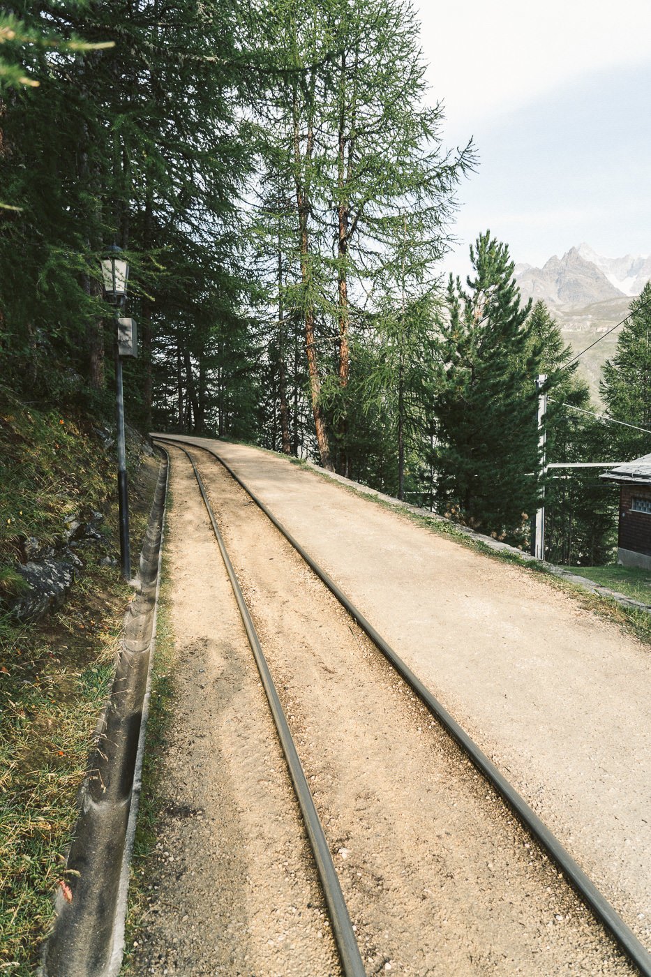a train traveling down train tracks next to a forest.