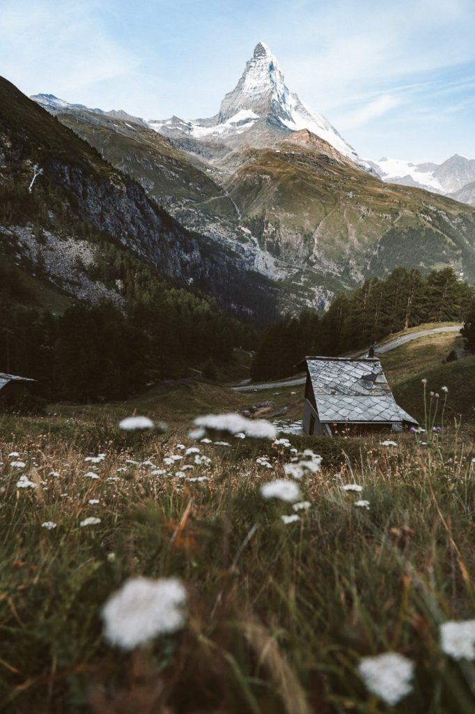 a small cabin in the middle of a field with a mountain in the background.