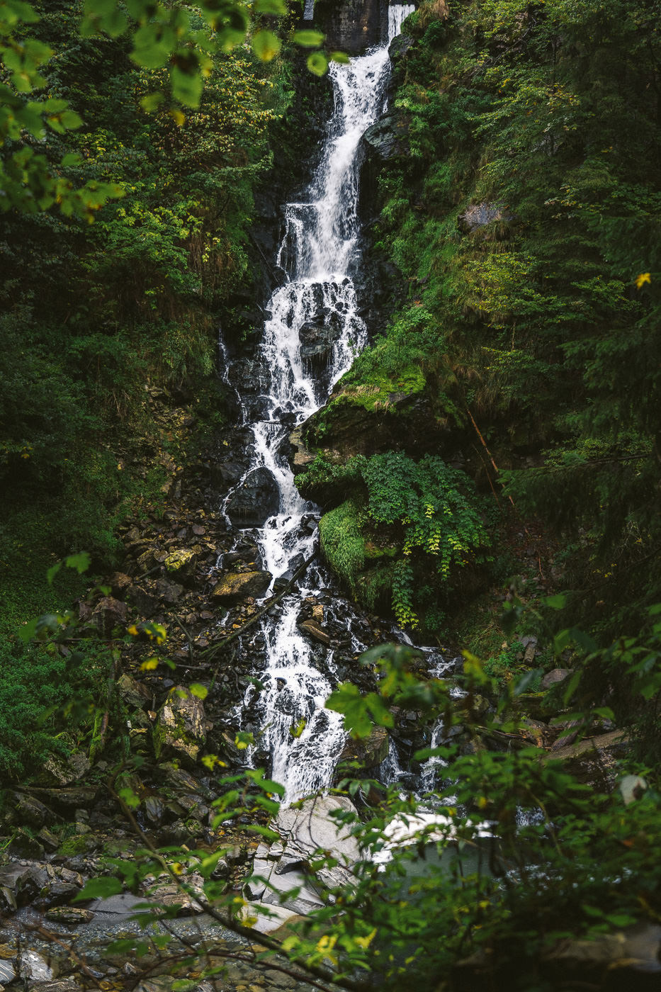 a waterfall in the middle of a lush green forest.