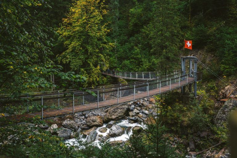 a suspension bridge over a river in the woods.