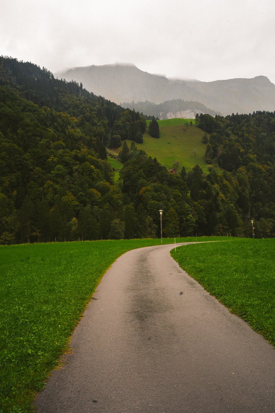 a winding road in the middle of a lush green field.