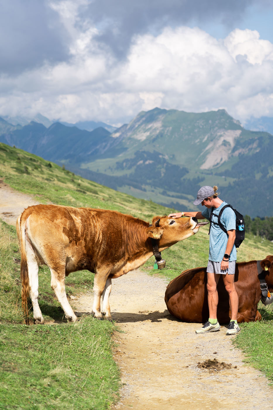 a man standing next to a brown cow on a dirt road.