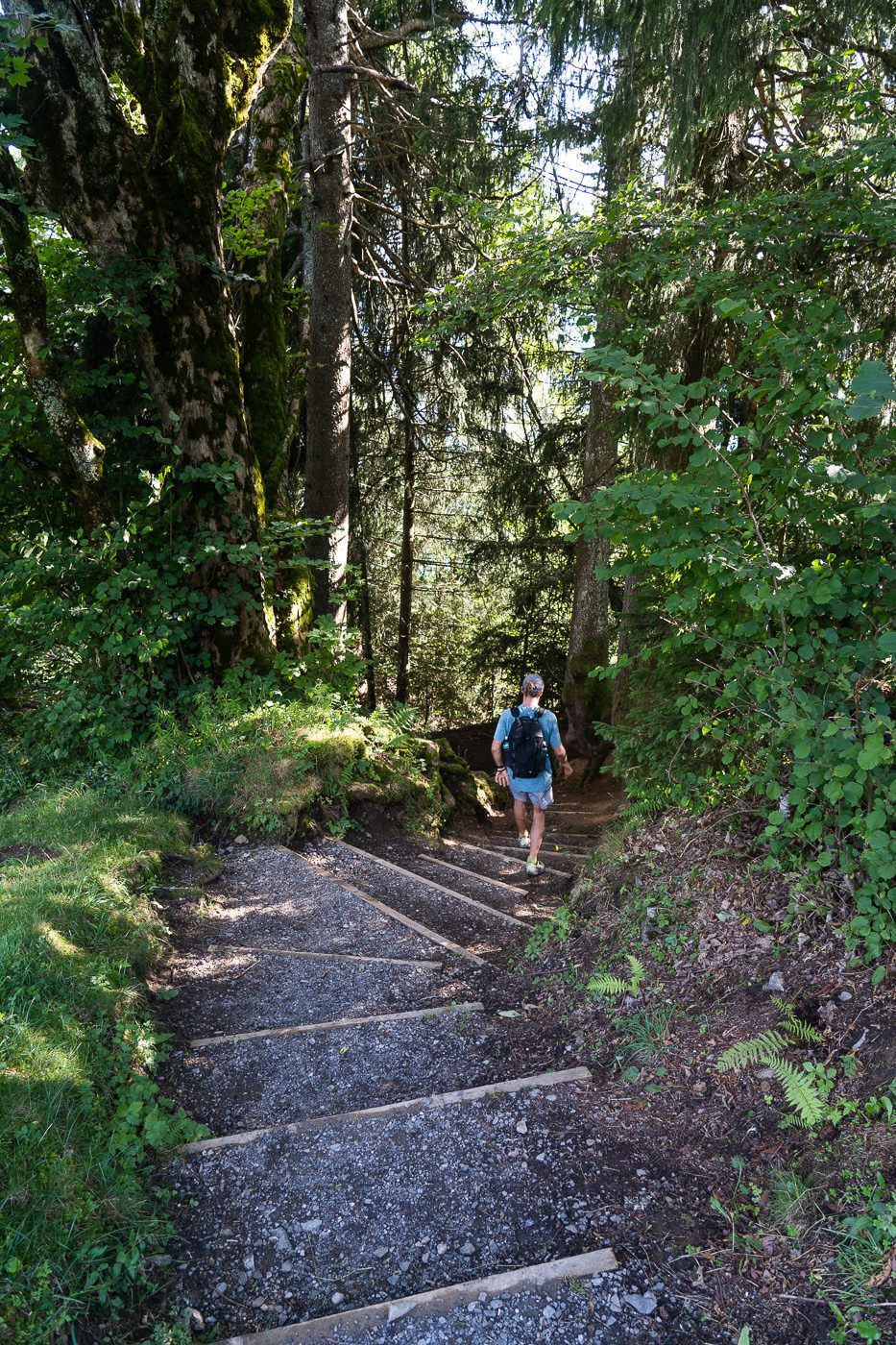 a man walking up a set of stairs in the woods.
