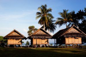 a group of huts sitting on top of a lush green field.