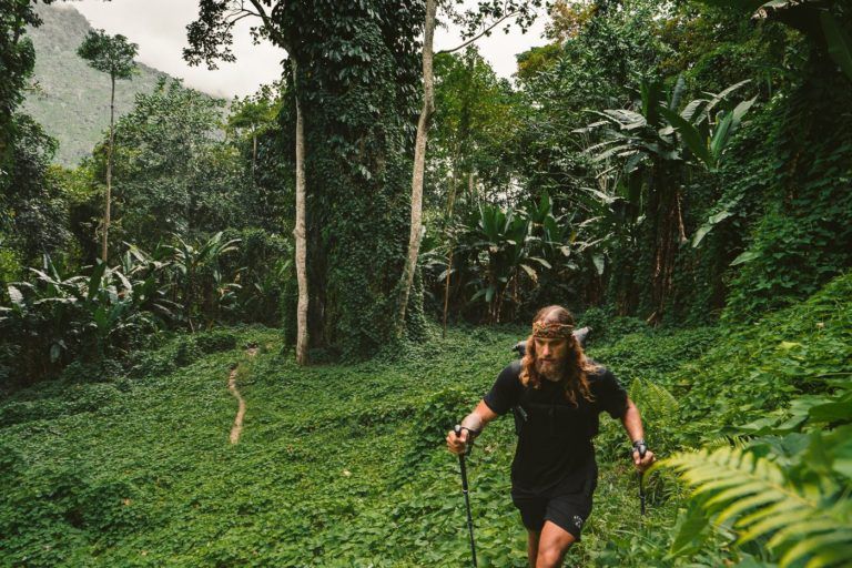 a man walking through a lush green forest.