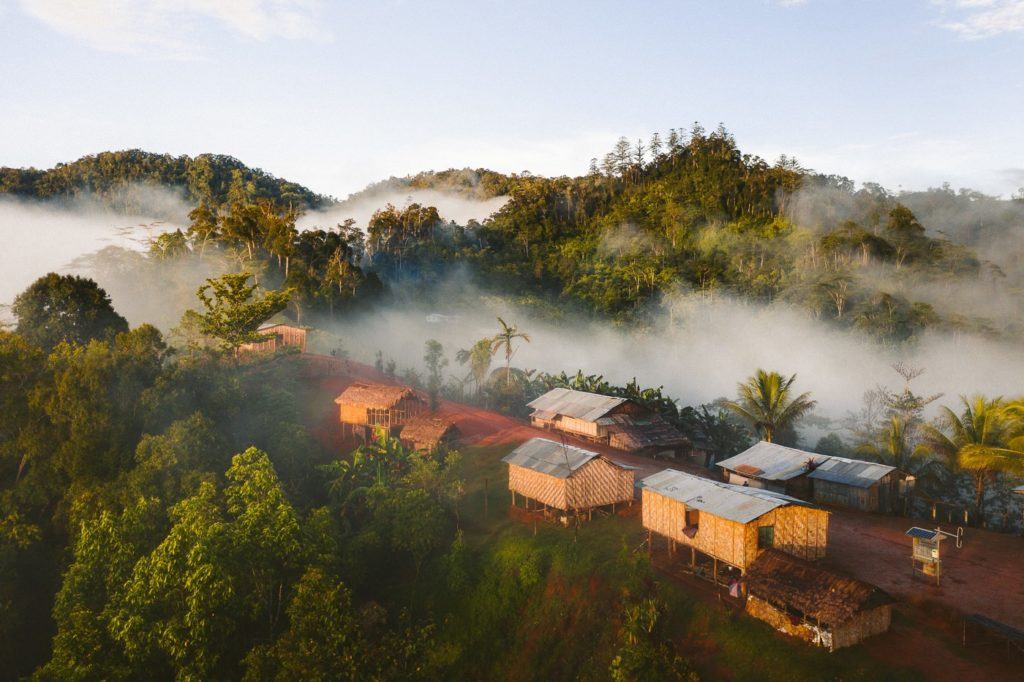 a small village in the middle of a forest.