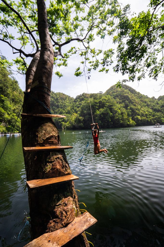 a person hanging from a tree in the water.