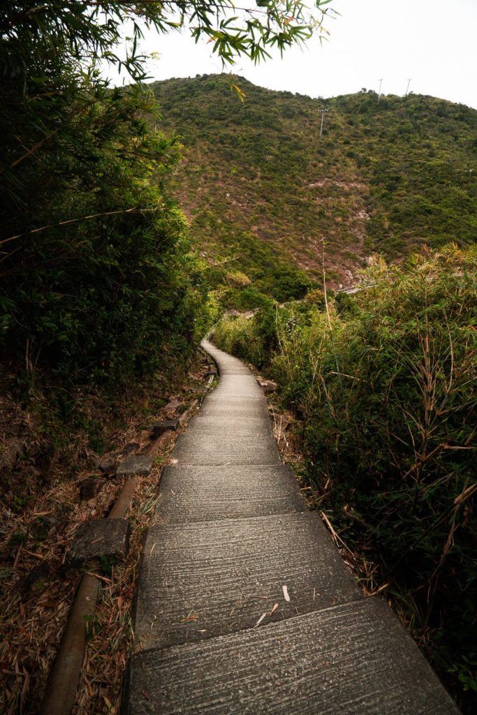 a wooden walkway going up a hill with a mountain in the background.