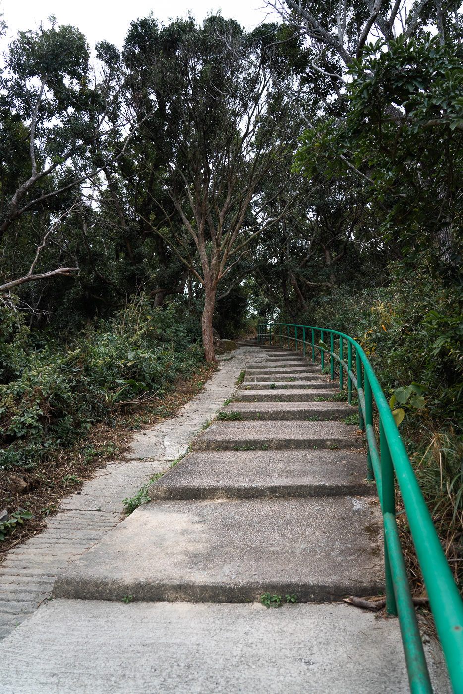 a set of stairs leading up to the top of a hill.