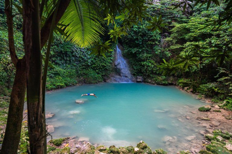 a person swimming in a pool in the jungle.