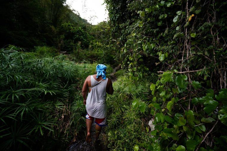 a man in a blue hat walking through a forest.
