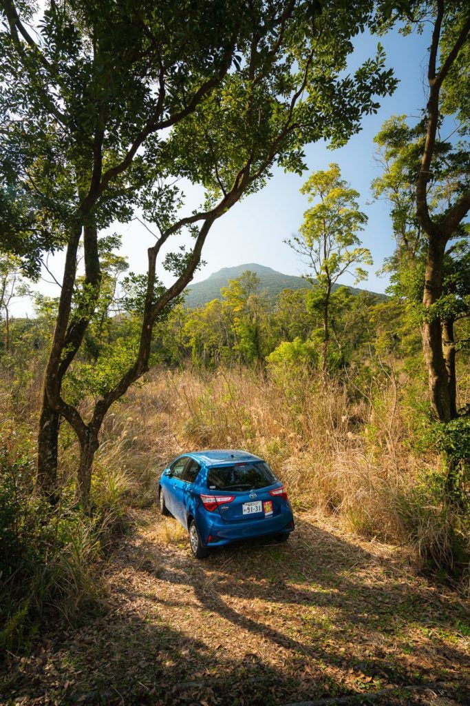 a blue car parked in the middle of a forest.