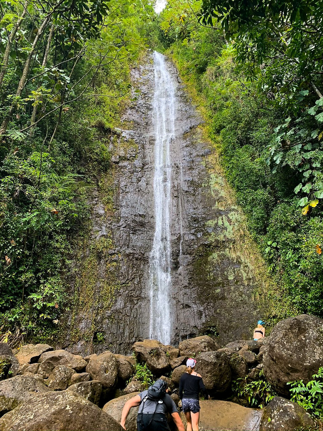 Manoa Falls Trail On Oahu, Hawaii Complete Hiker's Guide