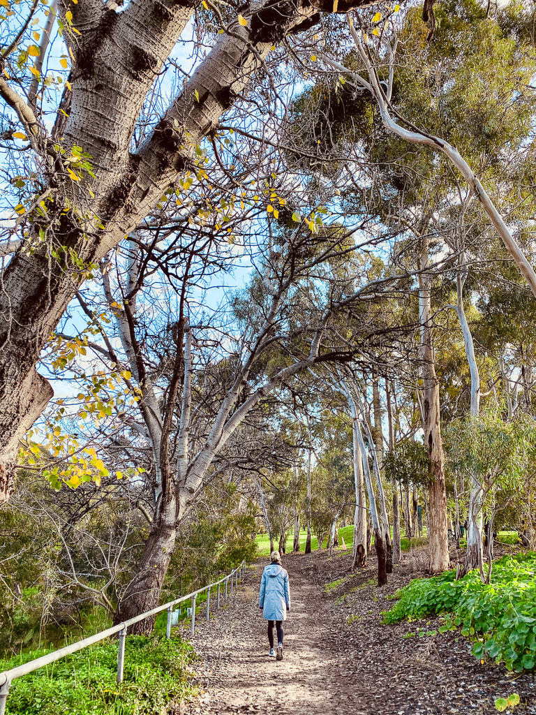 a woman walking down a path in the woods.