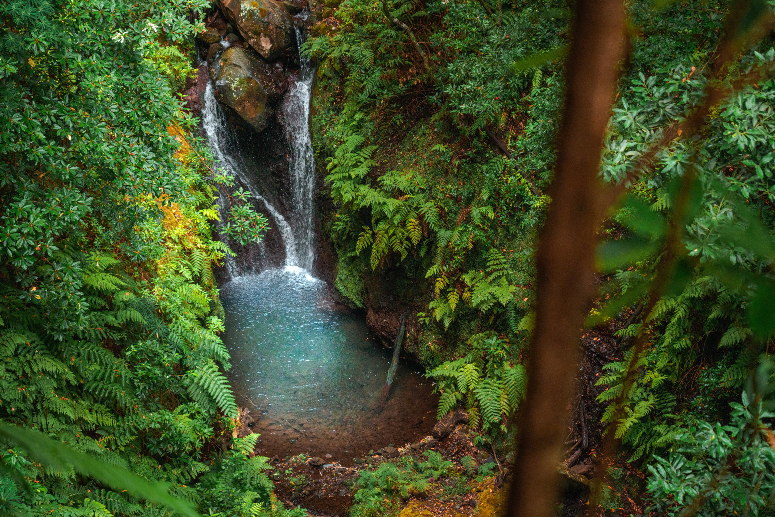 Levada Fajã do Rodrigues Waterfall Hike On Madeira Island
