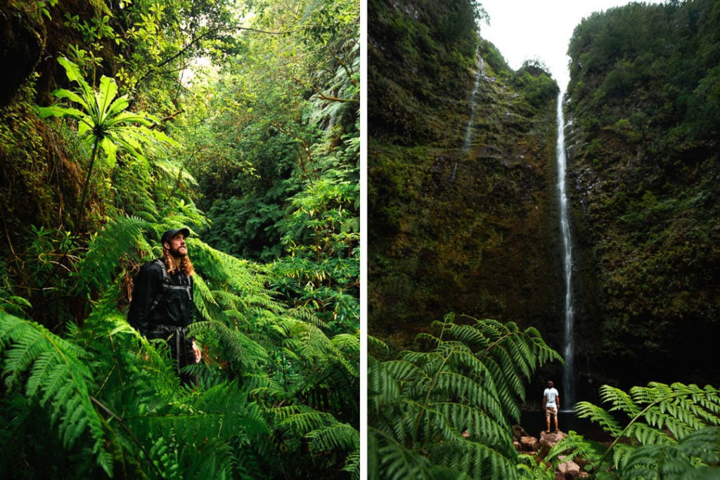 Levada do Caldeirão Verde Hike (PR9) On Madeira Island