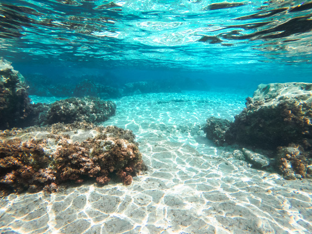 an underwater view of a sandy ocean floor.