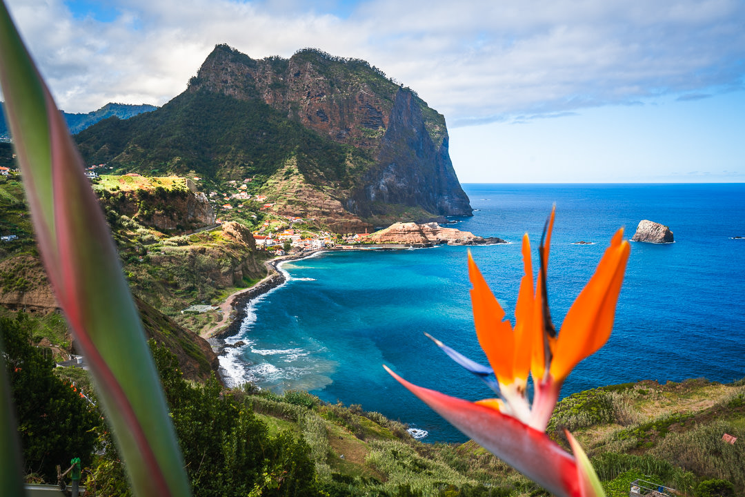 Vereda do Larano: Amazing Coastal Hike On Madeira Island