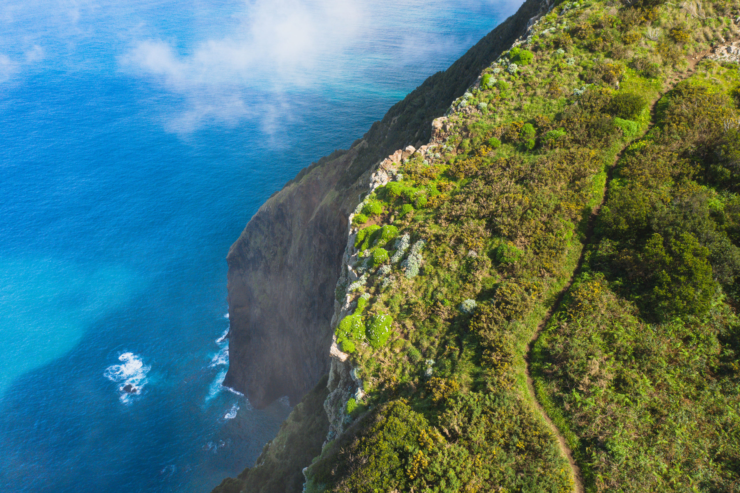 Espigão Amarelo Hike: Epic Coastal Trail On Madeira Island