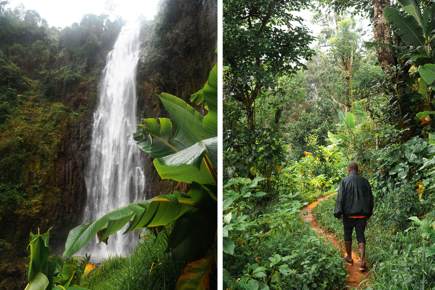 Materuni Waterfall Hike & Coffee Tour Near Moshi, Tanzania