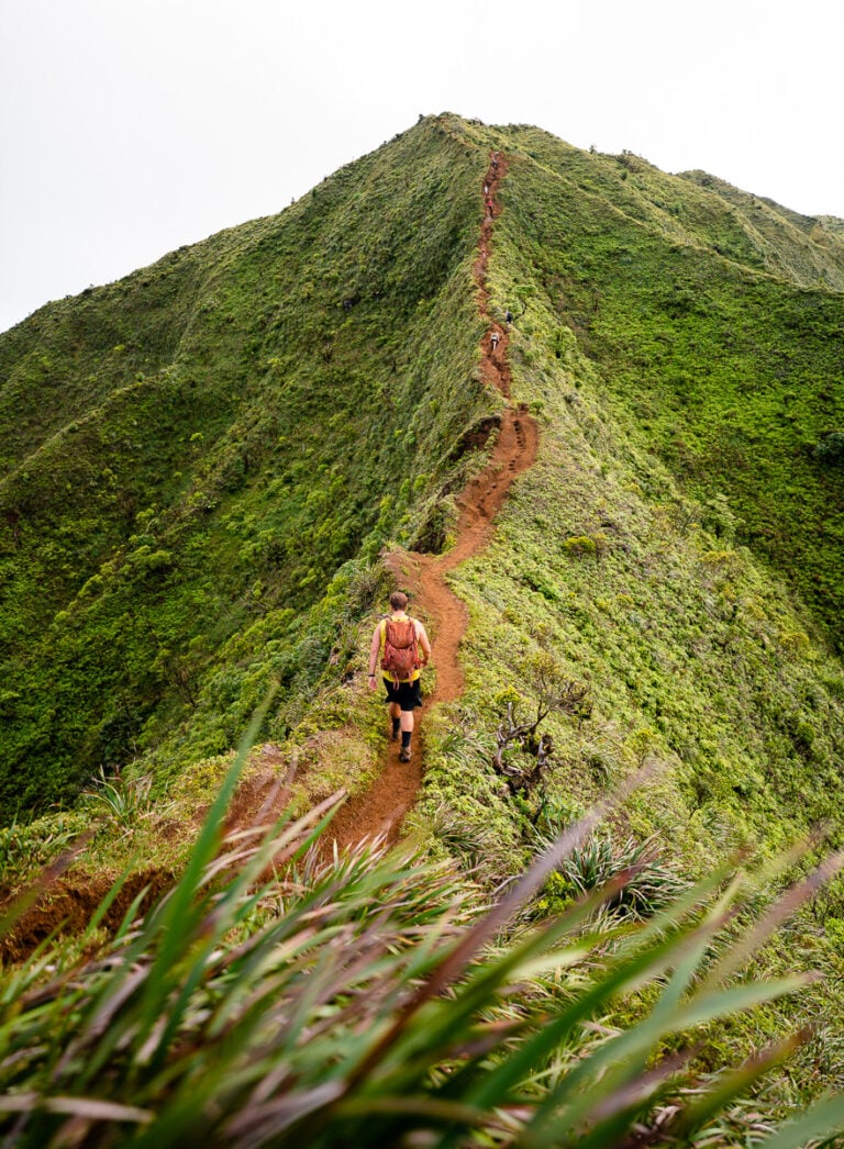 Hiking the Moanalua Valley Trail To Haiku Stairs (Legal Backway to ...