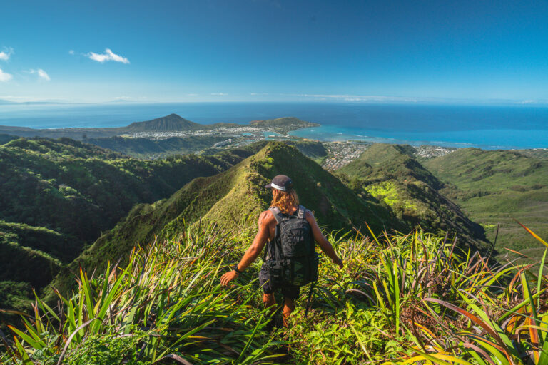 a man hiking up the side of a lush green mountain