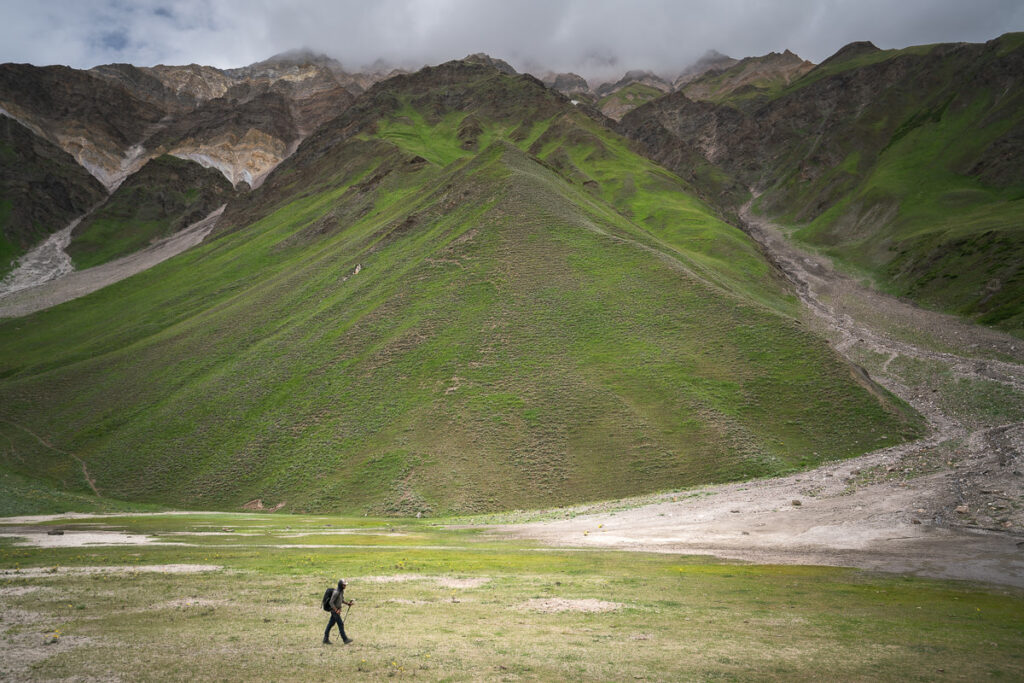 a person walking in a field with a mountain in the background
