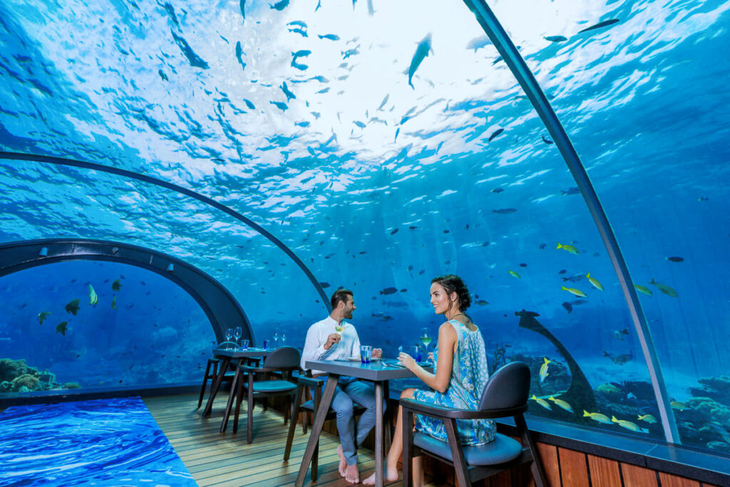 two people sitting at a table in front of an aquarium