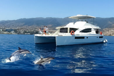 a couple of dolphins swimming next to a boat